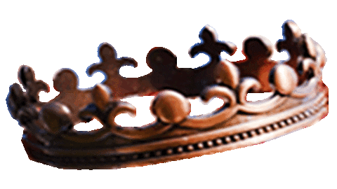The Crown King Sticker by VirtueelNL