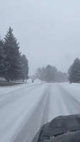 'We've Got Very Low Visibility': Heavy Snow Covers Central Colorado