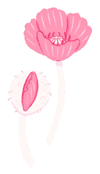 Pink Blooming Sticker by Anne Jotun