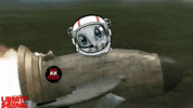 LibertySquareHQ moon rocket astronaut squirrel GIF