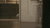 Precious GIF by CBS