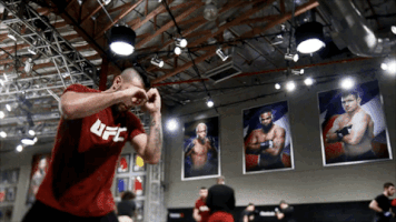 the ultimate fighter episode 3 GIF