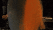 Music Video Rap GIF by Casanova Records