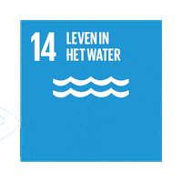Sdg Sticker by Ten Stripes