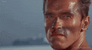arnold schwarzenegger no chance GIF