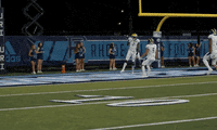 Celebrate College Sports GIF by Delaware Blue Hens