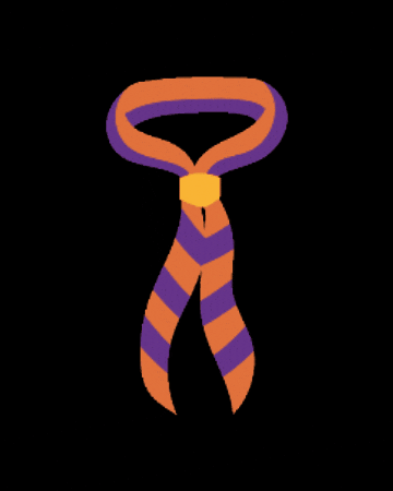 Santjaume GIF by Escoltes Catalans