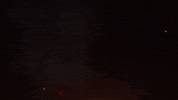 projectfeenix fire lfg launch feen GIF