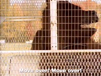 season 1 GIF