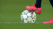 GIF by FOX Sports