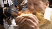 jack mcbrayer chicago GIF by Team Coco