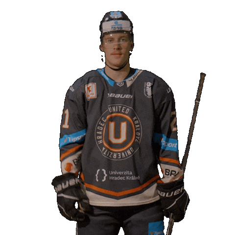 Uhk Sticker by UNIted HK