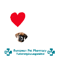 Boxerdog Sticker by Europeanpetpharmacy