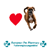 Boxerdog Sticker by Europeanpetpharmacy