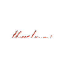 Race Speed Sticker by Leupimoto