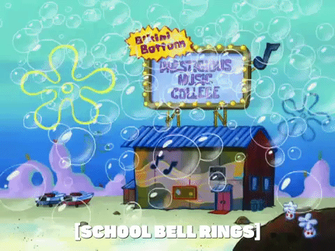 season 6 GIF by SpongeBob SquarePants