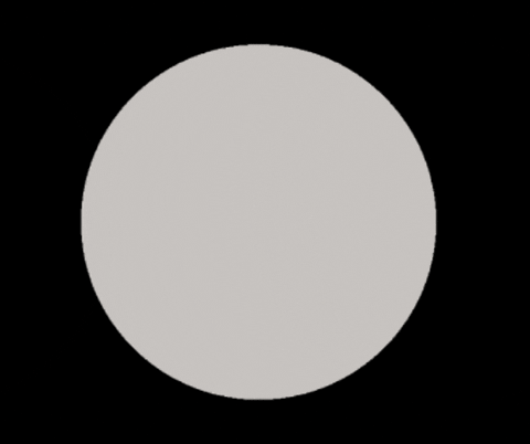 New Arrival Bridal Shop GIF by Magnolia Bridal