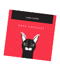 lumiacoffee coffee bobo kuwait haya Sticker