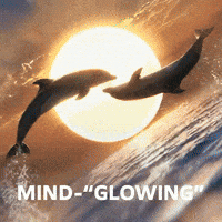 Car Automobile GIF by Opel