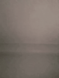 Shark Throw GIF