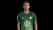 Three Points Win GIF by VfL Wolfsburg