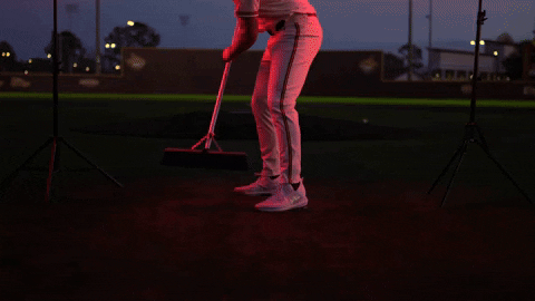 Baseball Wildcats GIF by Pearl River Athletics