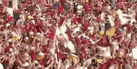 North Carolina Baseball GIF by NCAA Championships