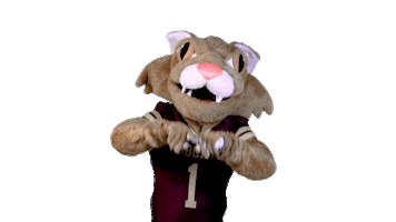 Boko Sticker by Texas State University