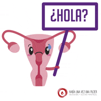 Escuelaeducadorasmenstruales utero edem GIF