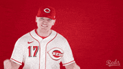Baseball Mlb GIF by Cincinnati Reds