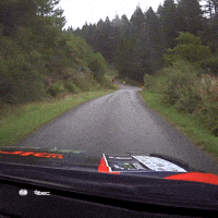 Motorsport Fail GIF by FIA European Rally Championship