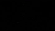 Check GIF by Nina Puslar
