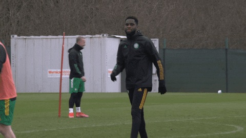 French Yes GIF by Celtic Football Club