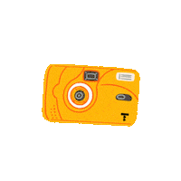 Camera Sticker