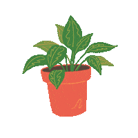 Flower Plant Sticker