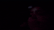 Universal Studios Twitch GIF