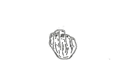 Film Beach Sticker by El Primo Brand