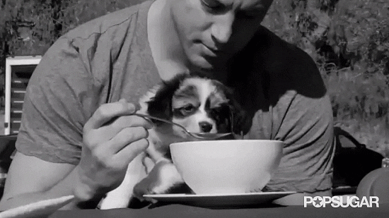 channing tatum GIF