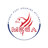 Megagrading Sticker by MEGA