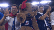 Arizona Wildcats Football GIF by Pac-12 Network