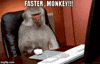 Vaporware Office Monkey GIF