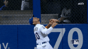 Ny Mets Catch GIF by New York Mets