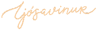 Ljosid Ljosavinur Sticker by Helga Valdis   #krotdagsins