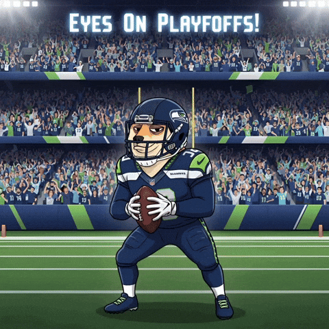 Seattle Seahawks Football GIF by Doge Pound