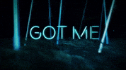 Feels Music Video GIF by Ultra Records