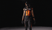 Canadian Football GIF by BC Lions
