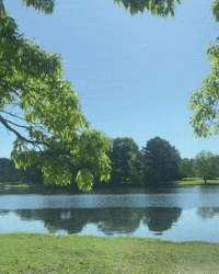 Love You Smile GIF by Queen Nandi