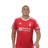 Happy Dance Sticker by Nottingham Forest