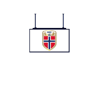 World Cup Football Sticker by Pudgy Penguins
