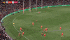 afl round five GIF by Adelaide Crows